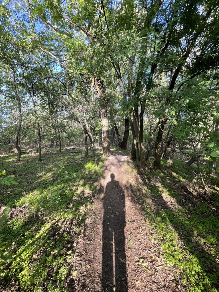 spirikrizis ikon img 2808