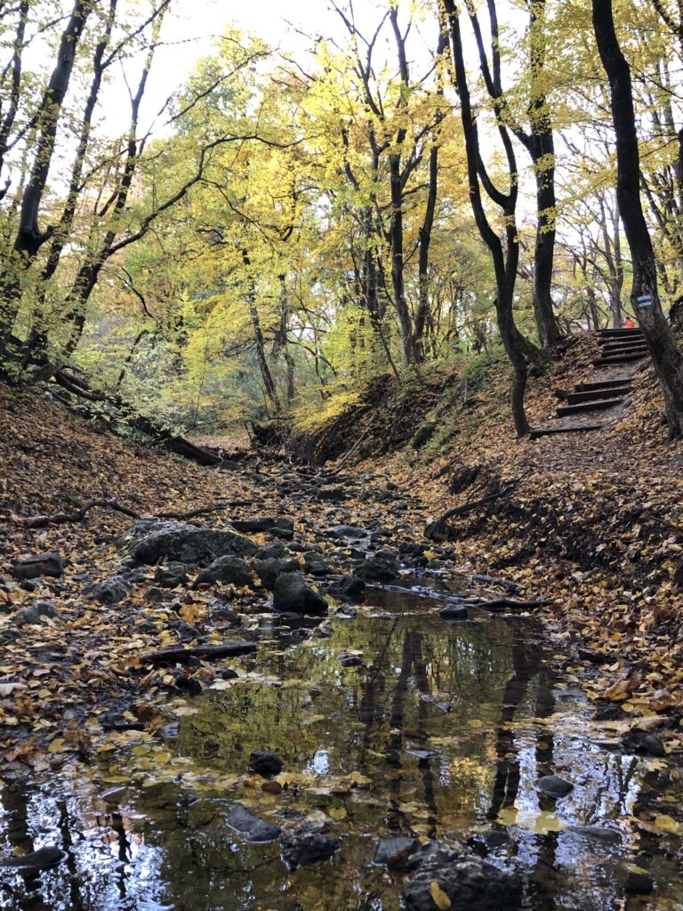 szupviz ikon dera2021okt27 22